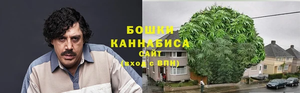 трава Абаза